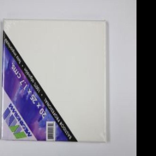 BASTIDOR PROF. 20X25X1.7CM. MECANORMAPINTO C.40